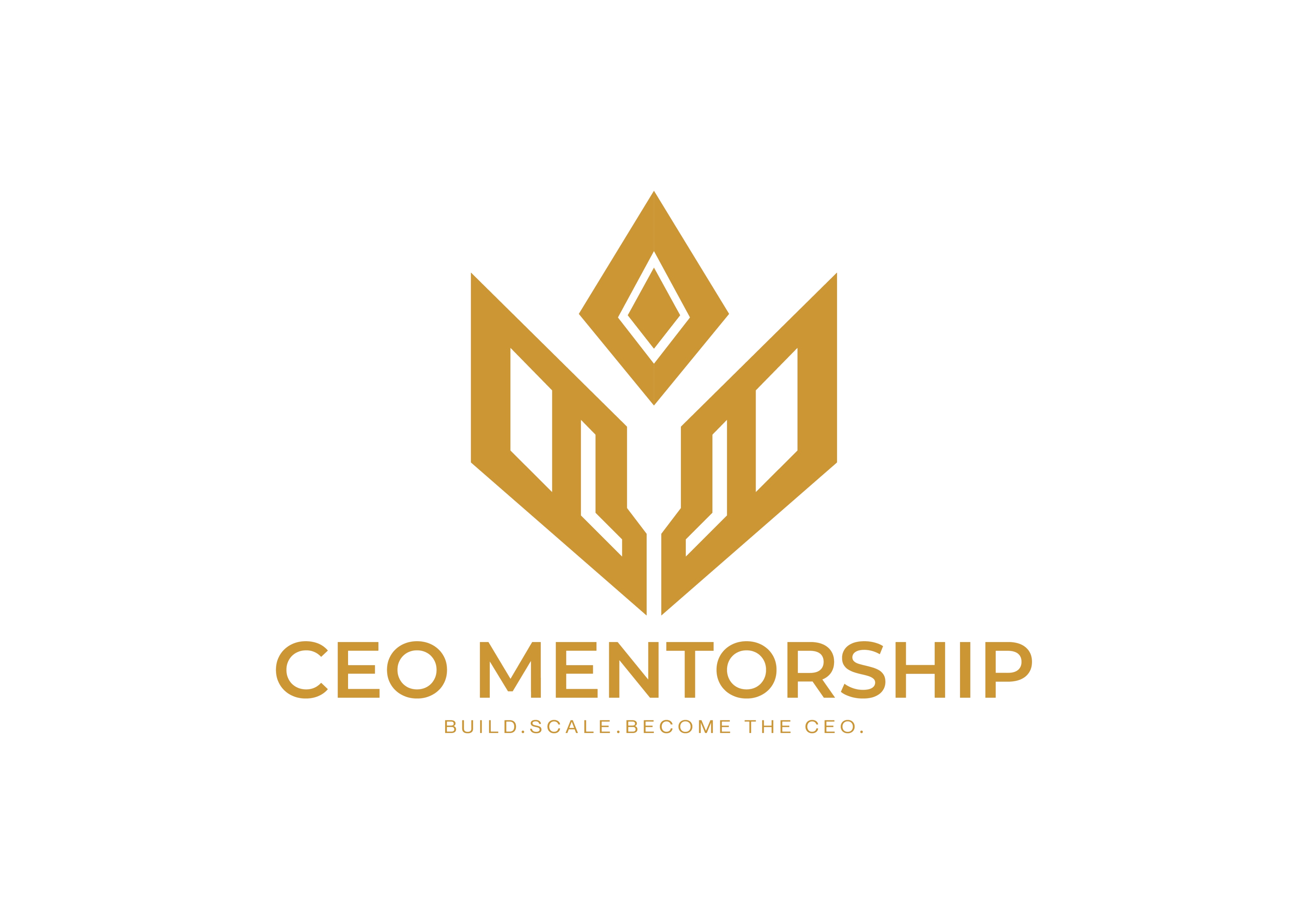 CEO Mentorship Logo